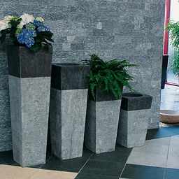 blumen01