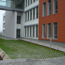 div. 08.12.2006 009