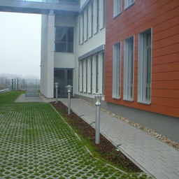 div. 08.12.2006 010