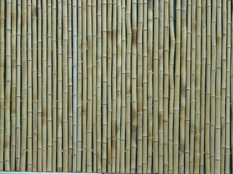 P1110052