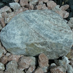 P1110104