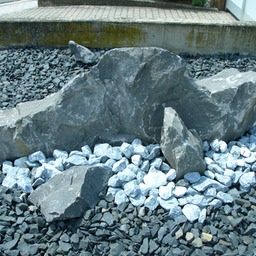 P1110105