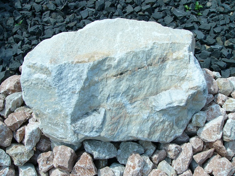 P1110110